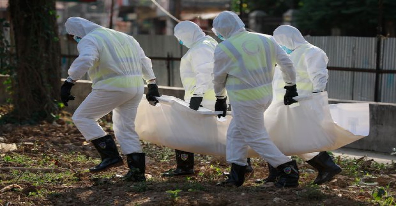 ২৪ ঘণ্টায় শনাক্ত ৩৪, মৃত্যু নেই