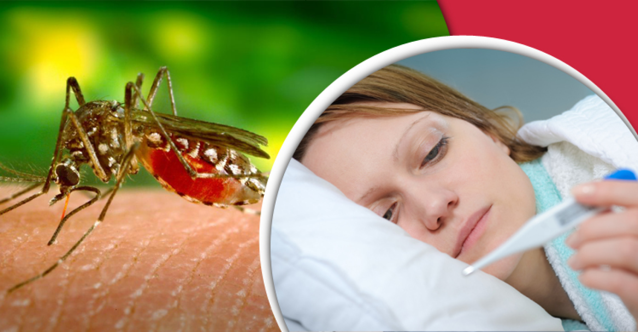 ডেঙ্গুতে ৩ মৃত্যুর দিনে হাসপাতালে ভর্তি ৪৩৬ রোগী