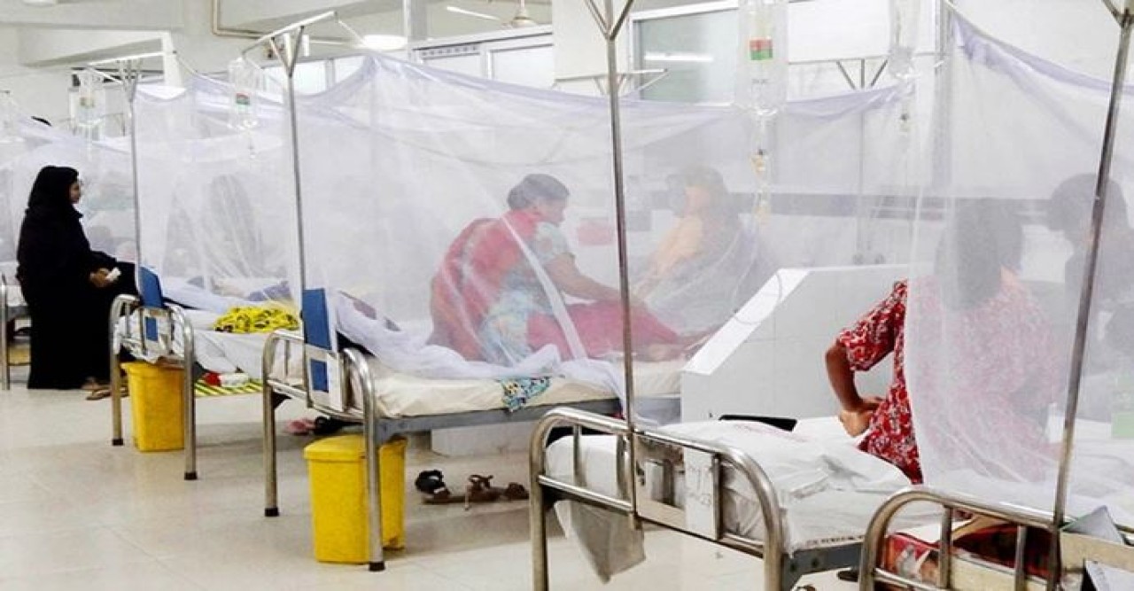 ডেঙ্গুর উচ্চ ঝুঁকিতে ঢাকার ১২ শতাংশ বাড়ি