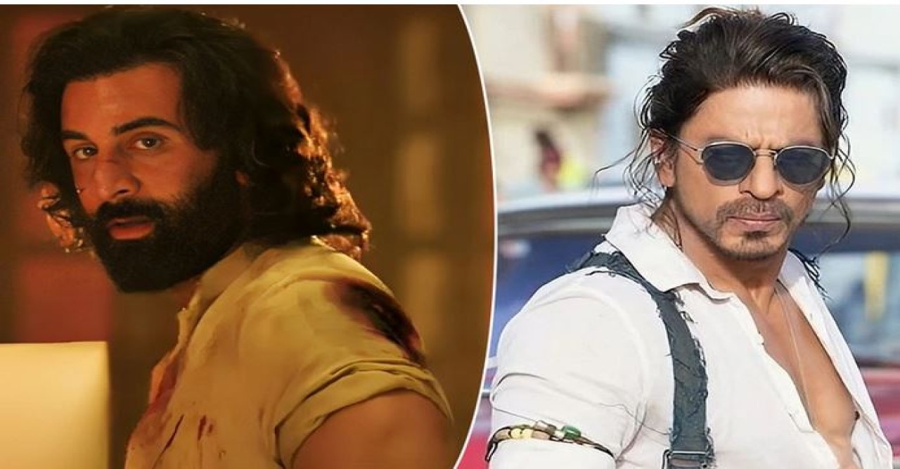 বক্স অফিসে ‘অ্যানিমেল’ রাজত্ব, শাহরুখের পথেই হাঁটছেন রণবীর