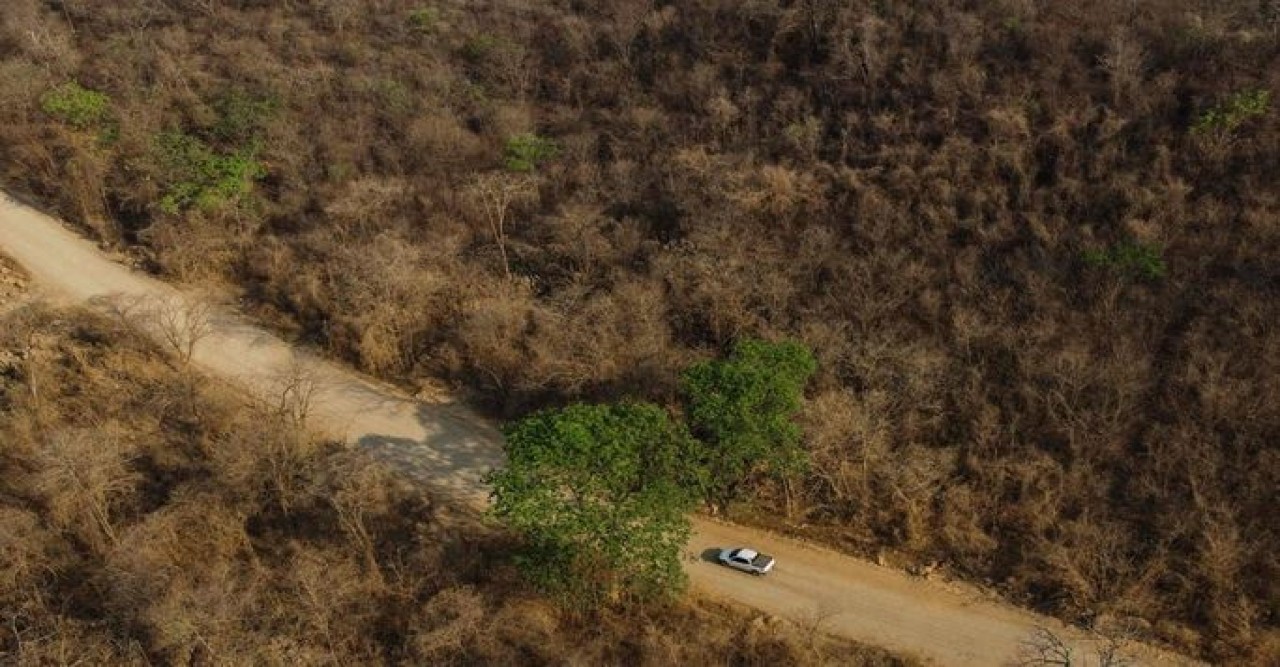 ব্রাজিলে যাত্রীবাহী বাস পড়ল গিরিখাদে, নিহত ১৭
