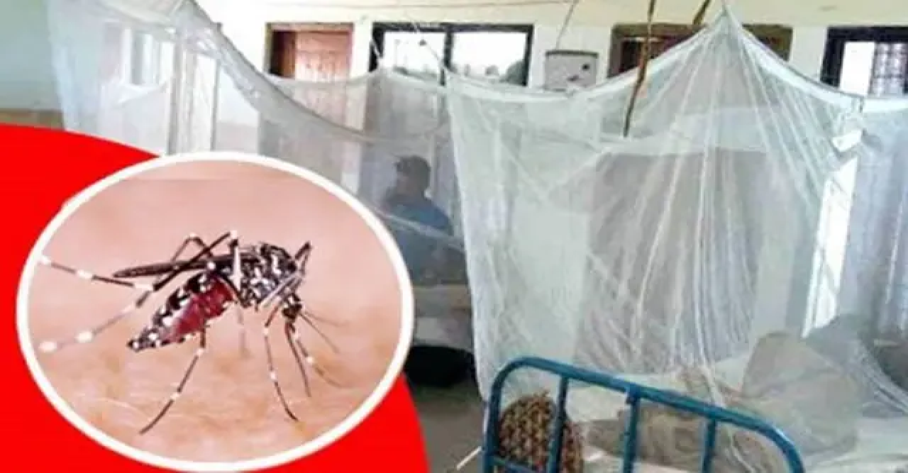 ডেঙ্গুতে আক্রান্ত হয়ে ১৩ রোগী হাসপাতালে