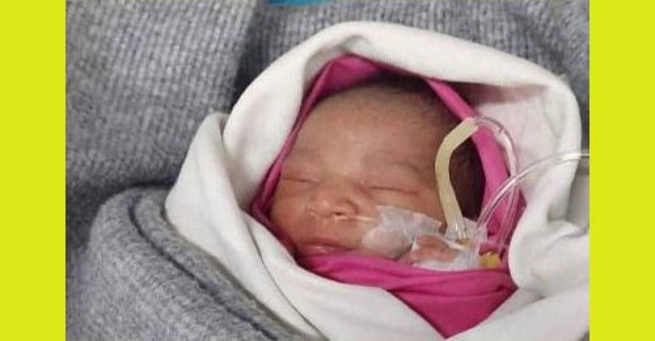 আশুলিয়ায় ডাস্টবিন থেকে নবজাতক উদ্ধার