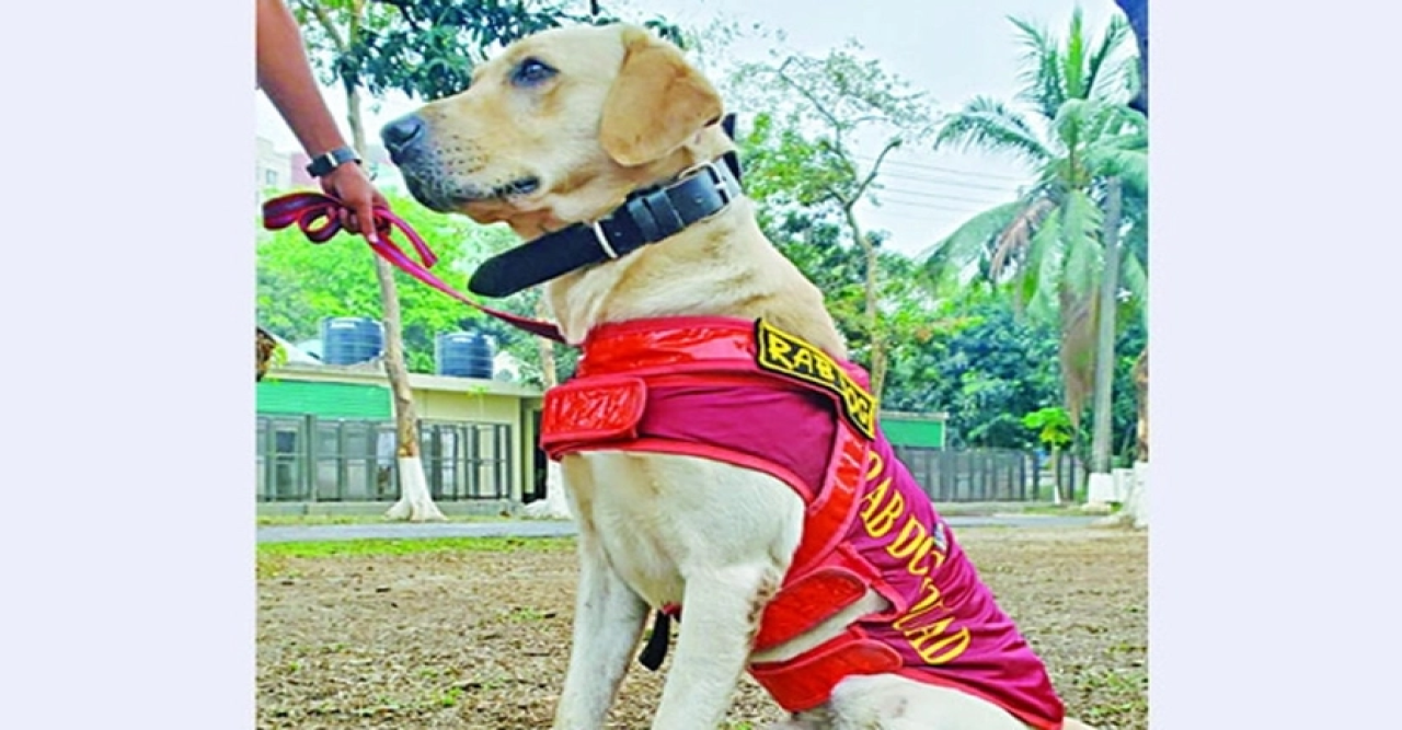 মহাপরিচালক পদক পেল র‍্যাবের ডগ স্কোয়াডের ‘চিতা’!