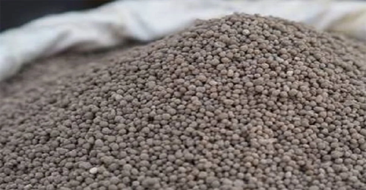 সৌদি থেকে ৪০ হাজার টন সার কিনছে সরকার