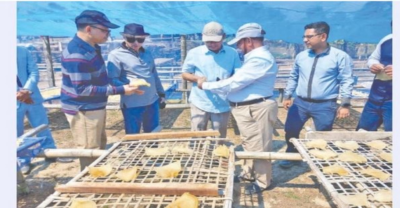 সাদা পোয়া মাছের বায়ুথলির চাহিদা বাড়ছে আমেরিকায়