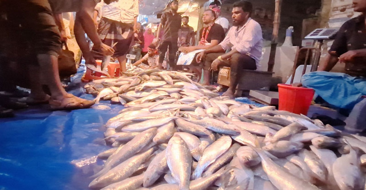 এক রাতে ২ কোটি টাকার ইলিশ বিক্রি