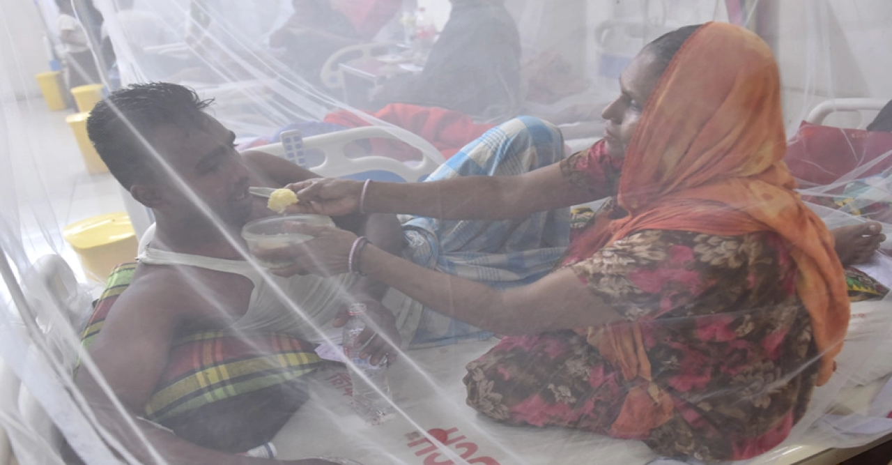 বাড়ছে ডেঙ্গু রোগী, এক দিনে রেকর্ডসংখ্যক ভর্তি