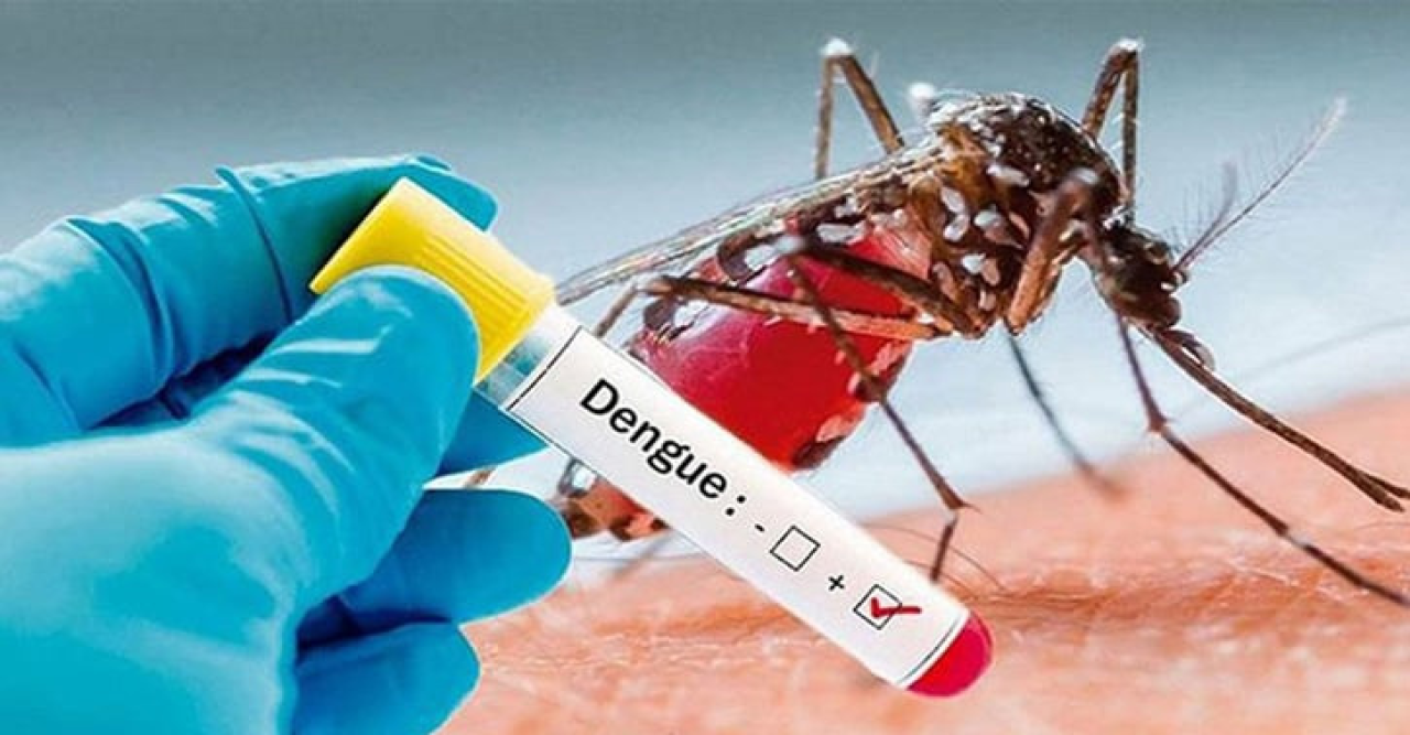 ডেঙ্গুতে ৪ জনের মৃত্যু, হাসপাতালে আরো ৪৩৬