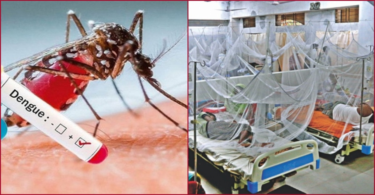 ২৪ ঘণ্টায় ডেঙ্গুতে একজনের মৃত্যু, হাসপাতালে ৫৮৪
