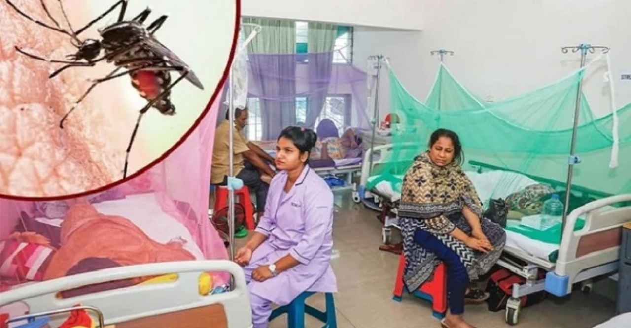বাড়ছে ডেঙ্গু, ভাঙছে মৃত্যু ও শনাক্তের রেকর্ড