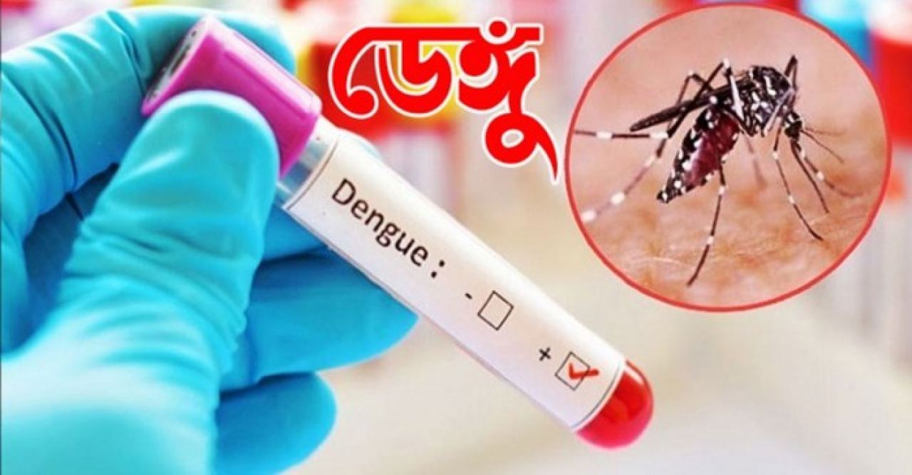 এক দিনে ডেঙ্গুতে রেকর্ড ১৯ জনের মৃত্যু