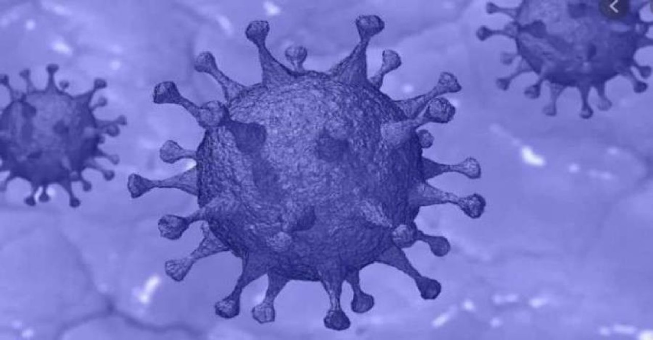 ২৪ ঘণ্টায় ১৭ জনের করোনা শনাক্ত