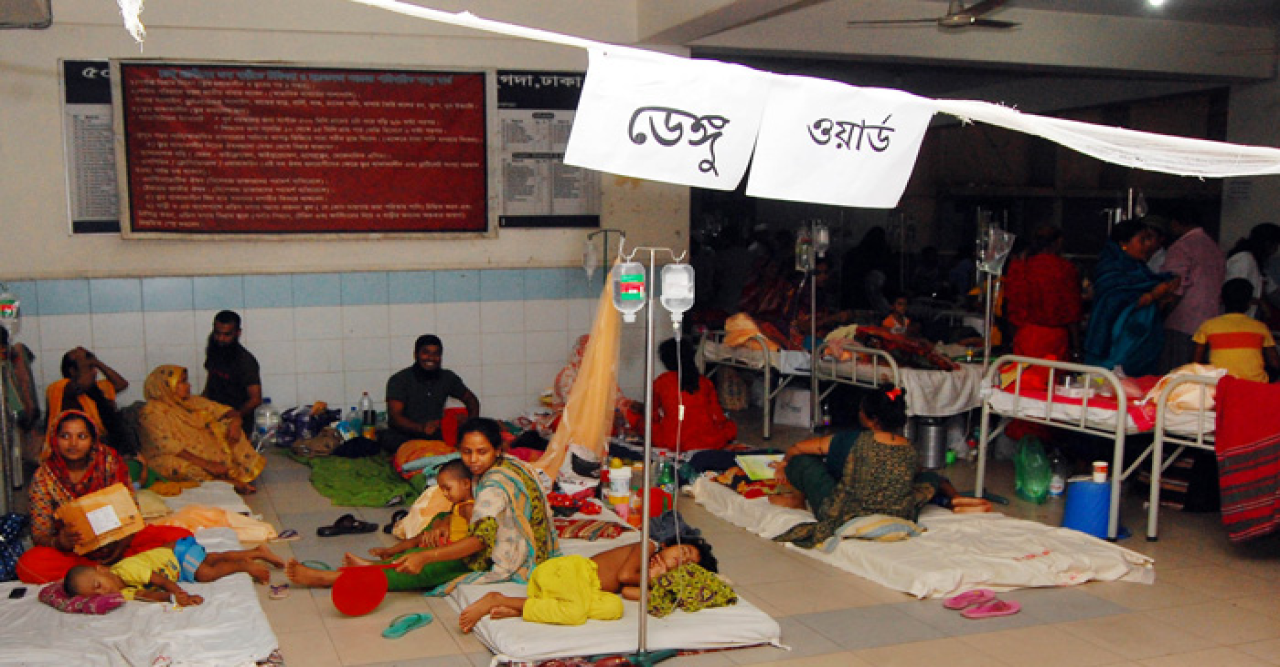 ডেঙ্গুতে মৃত্যু ১০, হাসপাতালে আরও ১৯৮৪ রোগী