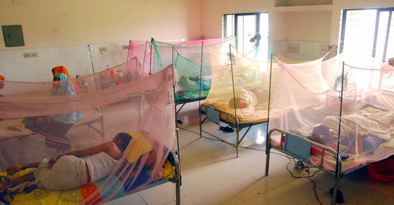 ডেঙ্গুর প্রকোপ কমছেই না, মৃত্যু ছাড়াল সাড়ে ৫০০