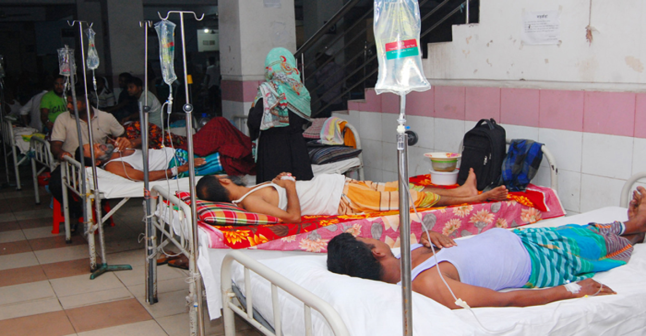 ডেঙ্গুতে প্রাণ গেল আরও ১৭ জনের, হাসপাতালে ৩০৮৪