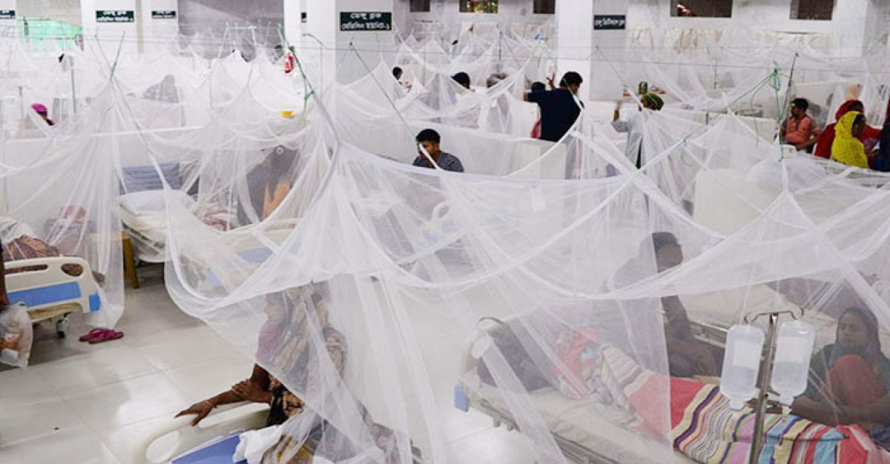 ডেঙ্গুতে মৃত্যু ছাড়াল ৯০০