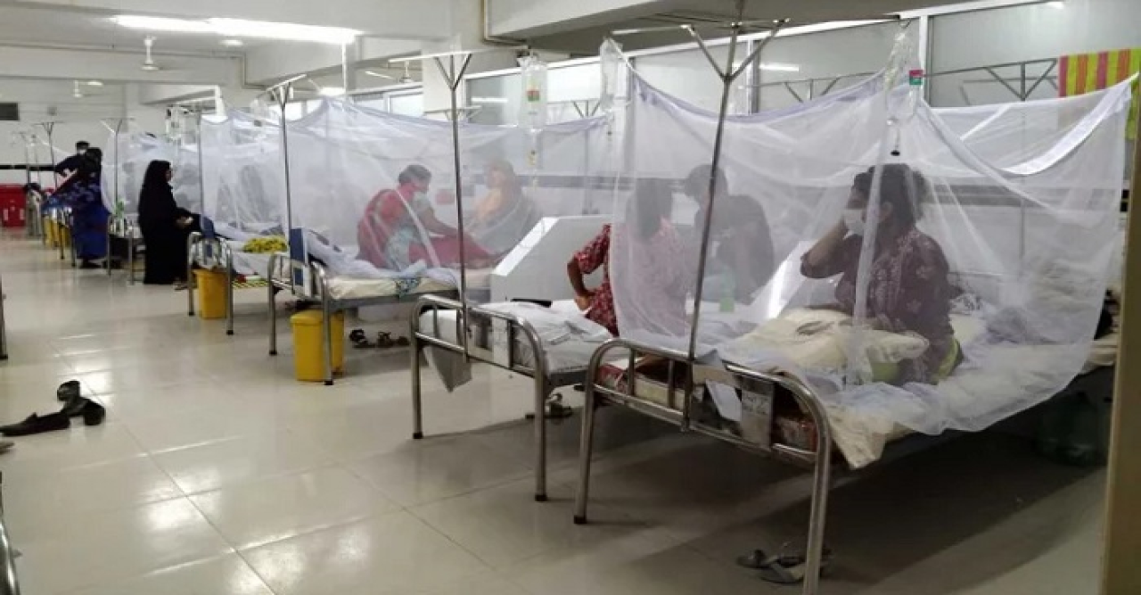 চলতি বছর ডেঙ্গুতে মৃত্যু হাজার ছাড়াল