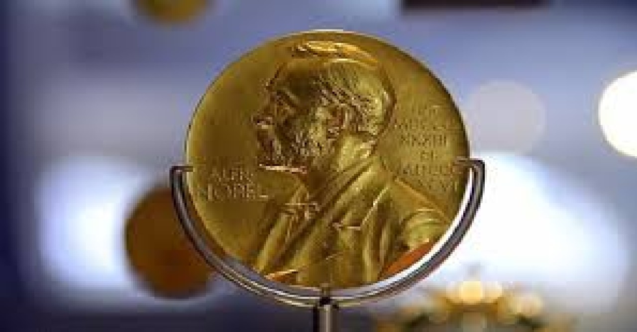 বিশ্বব্যাপী সংকটে আশার ঝলক ২০২৪-এর নোবেল পুরস্কার