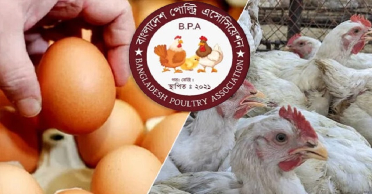 ১ মে থেকে ডিম-মুরগির খামার বন্ধের ঘোষণা প্রত্যাহার
