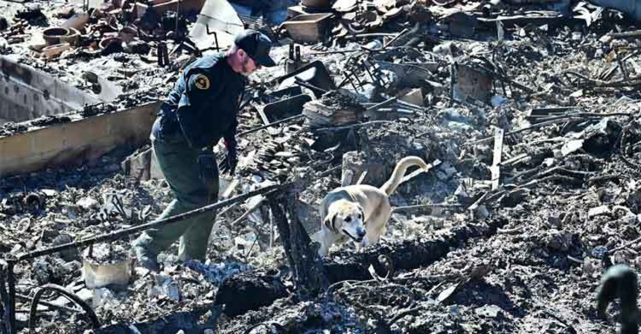 লস অ্যাঞ্জেলেসের দাবানলে মৃতের সংখ্যা বেড়ে ২৪, আরও ভয়াবহ হওয়ার শঙ্কা