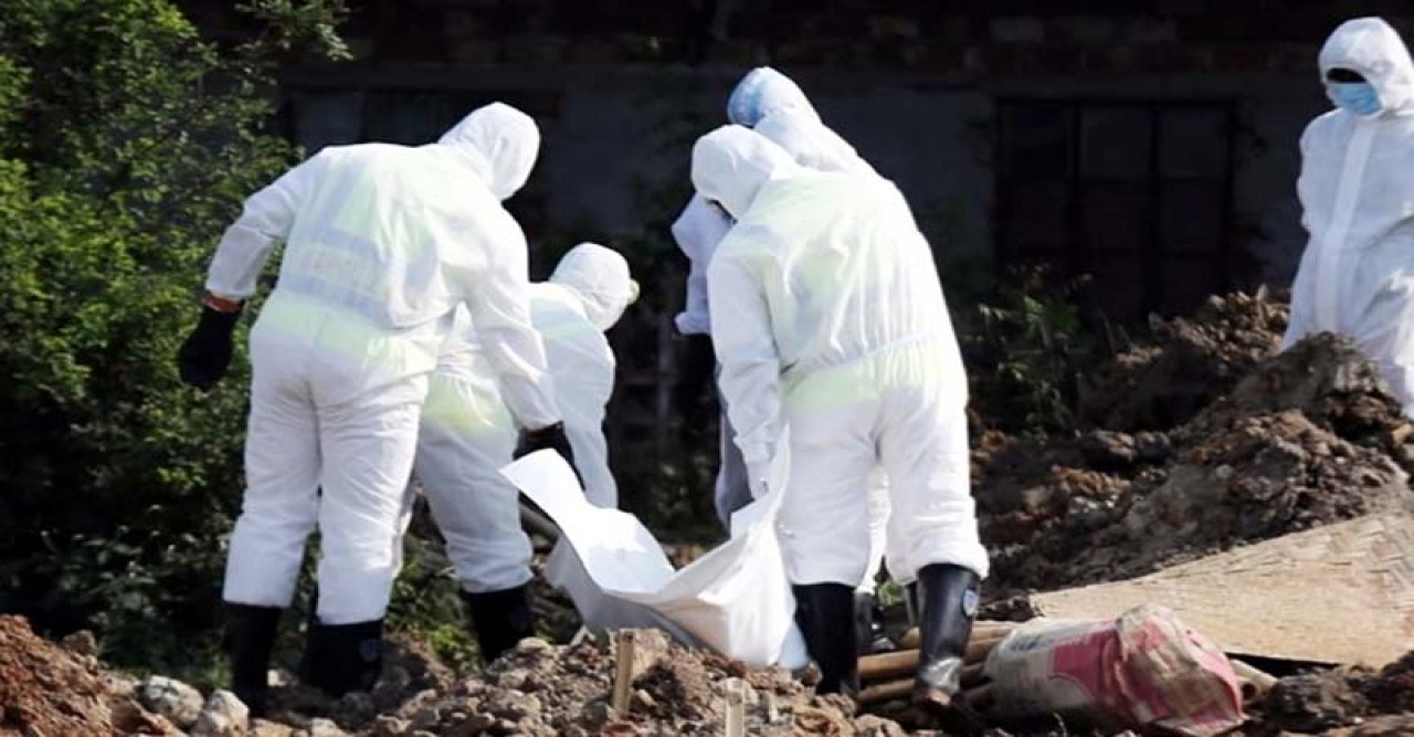 করোনায় মৃত্যু কমে শনাক্ত বেড়েছে