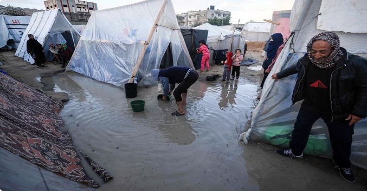 গাজায় ২৪ ঘণ্টায় নিহত ১৭৪, মৃতের সংখ্যা বেড়ে ২৬২৫৭
