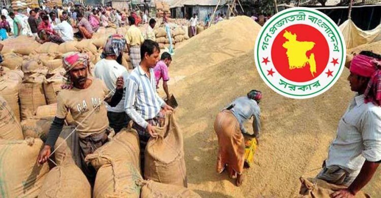 সরকারের আমন সংগ্রহ তদারকির দায়িত্বে ৮ কর্মকর্তা