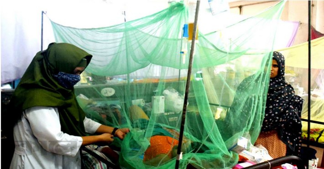 ডেঙ্গুতে আরো ৪ মৃত্যু, হাসপাতালে ১১২১ জন