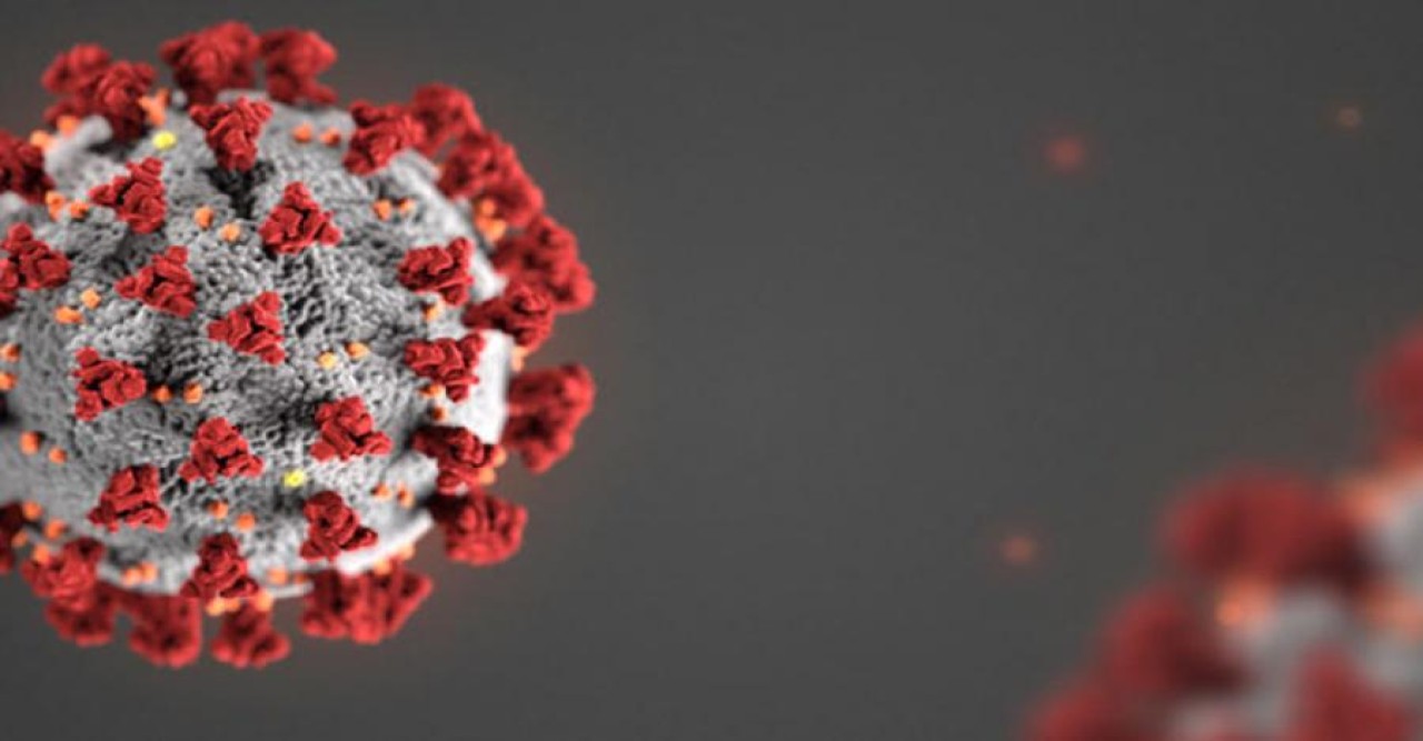 ২৯ জন শনাক্তের দিনে করোনায় মৃত্যু নেই