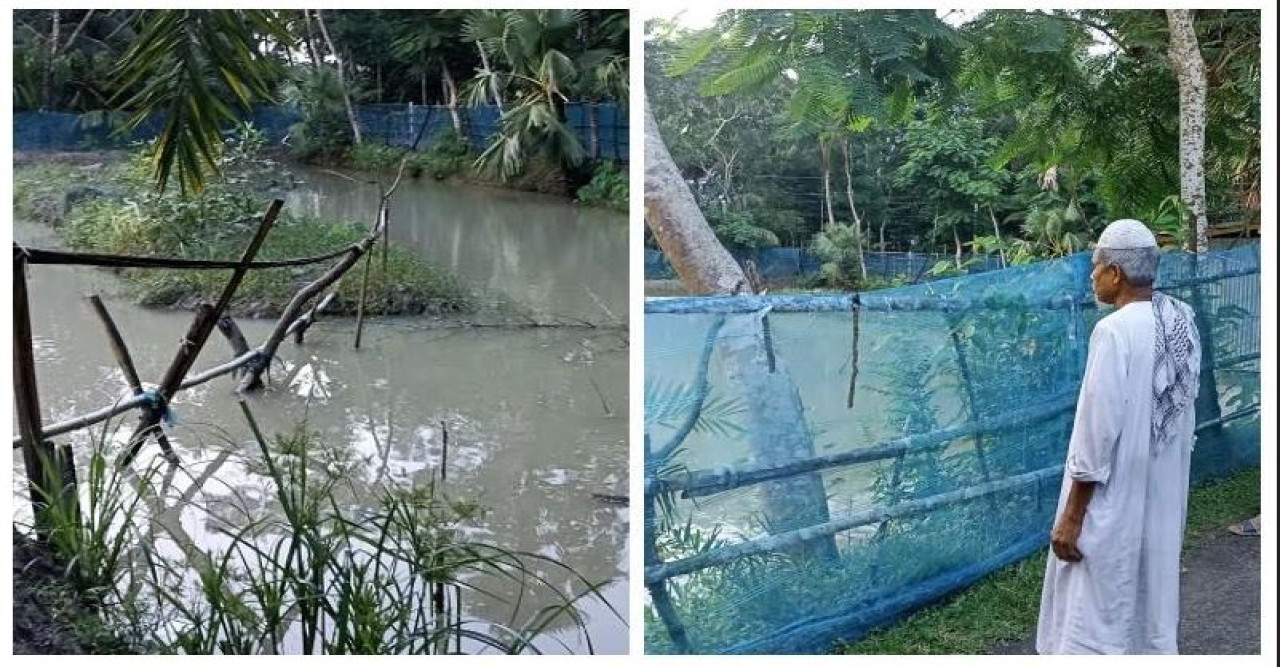 মোরেলগঞ্জে ৩ বিঘার মৎস্য ঘের দখল করে মাছ লুটের অভিযোগ