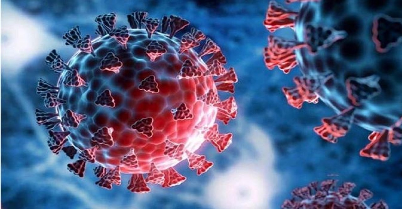 পঞ্চাশোর্ধ্ব ব্যক্তিরা এখনো করোনার ঝুঁকিতে