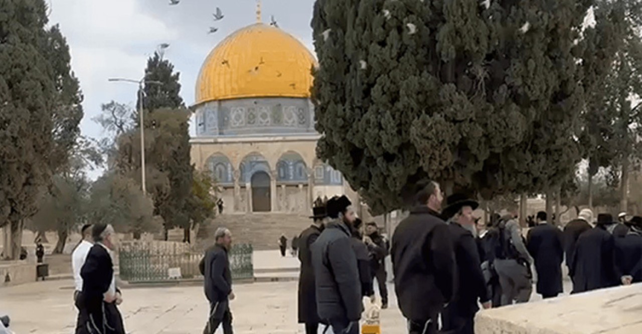 আল-আকসা মসজিদে অবৈধ দখলদারদের হানা