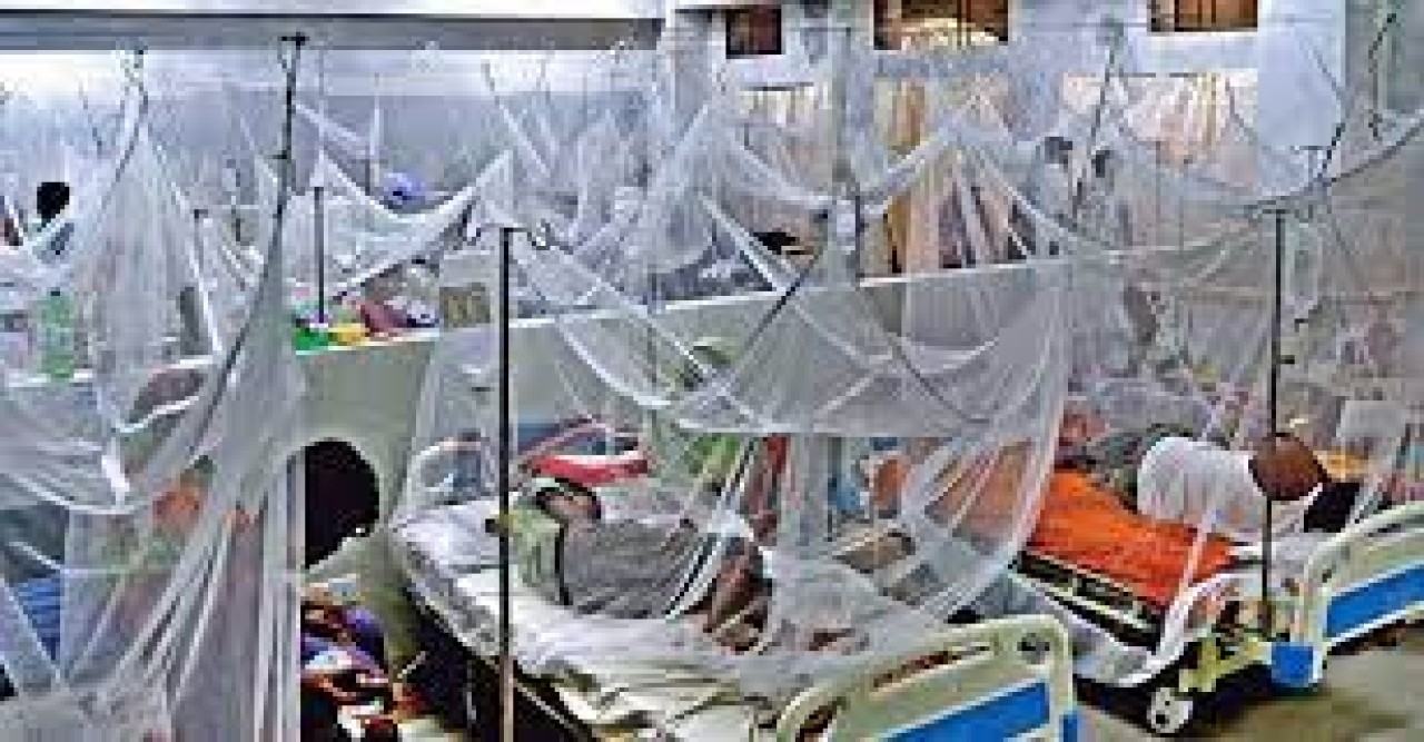 ডেঙ্গুতে ৫ জনের মৃত্যু, আক্রান্ত ৯০৩