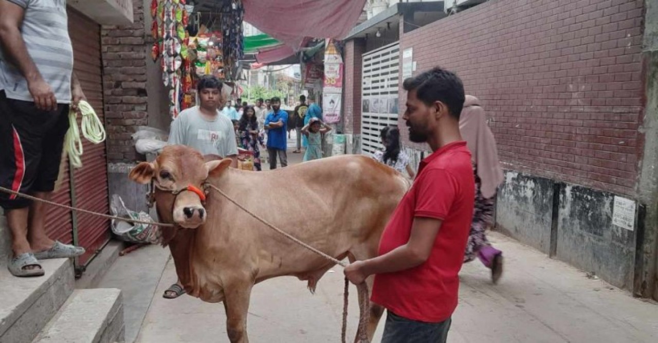 ঈদের দ্বিতীয় দিনেও চলছে পশু কোরবানি