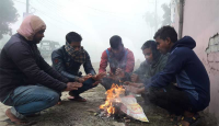 ৫ জেলায় বইছে মৃদু শৈত্যপ্রবাহ
