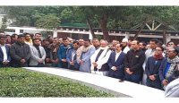 স্বাধীনতা বিরোধীদের মিলন মেলায় পরিণত হয়েছে বিএনপি : শেখ সেলিম