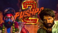 টিজারেই ঝড় তুলল ‘পুষ্পা ২’
