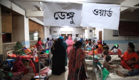 ডেঙ্গুতে ১৫ মৃত্যু, হাসপাতালে ভর্তি ২৯৫০ রোগী