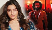 অ্যানিমেলের সাফল্য, রণবীরের প্রশংসায় আলিয়া